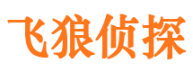 双峰市婚外情调查